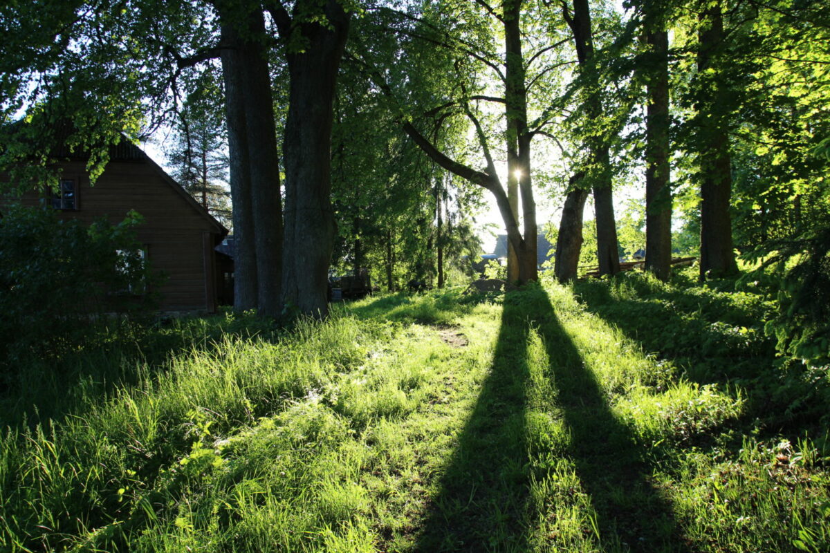 Üminaid üle aegade ja unede. Intervjuu Berit Petolaiga