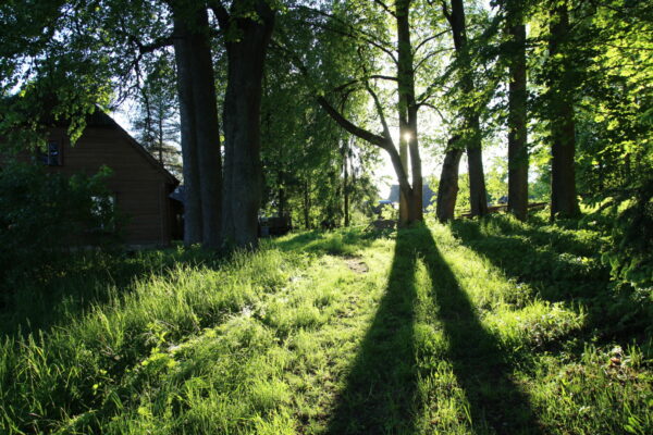 Üminaid üle aegade ja unede. Intervjuu Berit Petolaiga