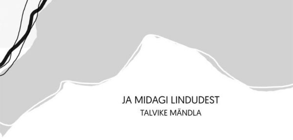 Kitsail kiviseil tänavail roomab tõde – pisike salalik loom