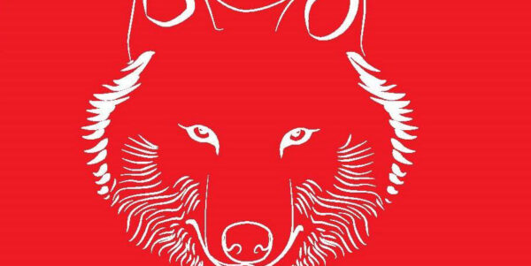 Süüdatud tähed, süütud tähed