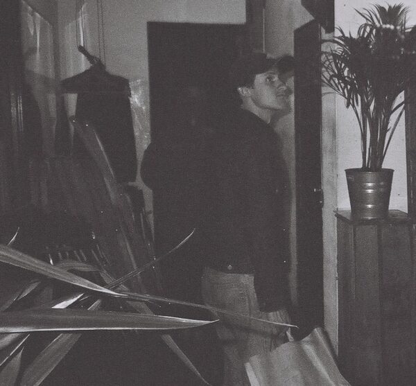 Kaarel Viljaste päevik