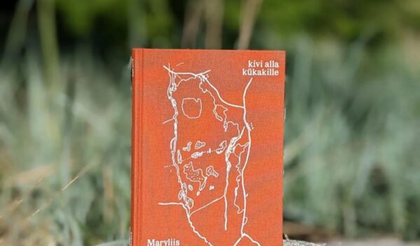 Värske Raamat nr 32, Maryliis Teinfeldt Grins, “Kivi alla kükakille”