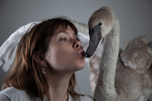 “Ma nüüd lõpuks kõnnin koju” jt tekste