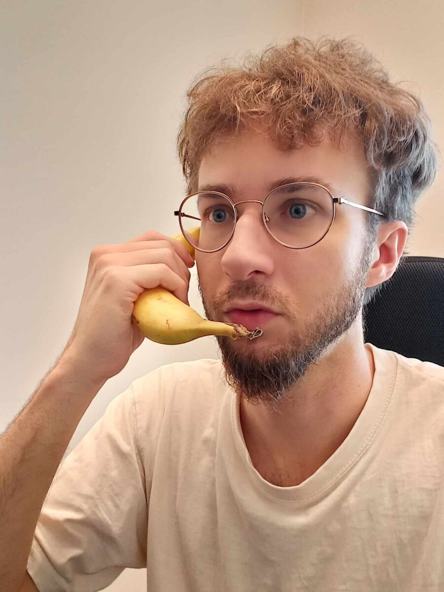 Tagurpidi lendavad kajakad