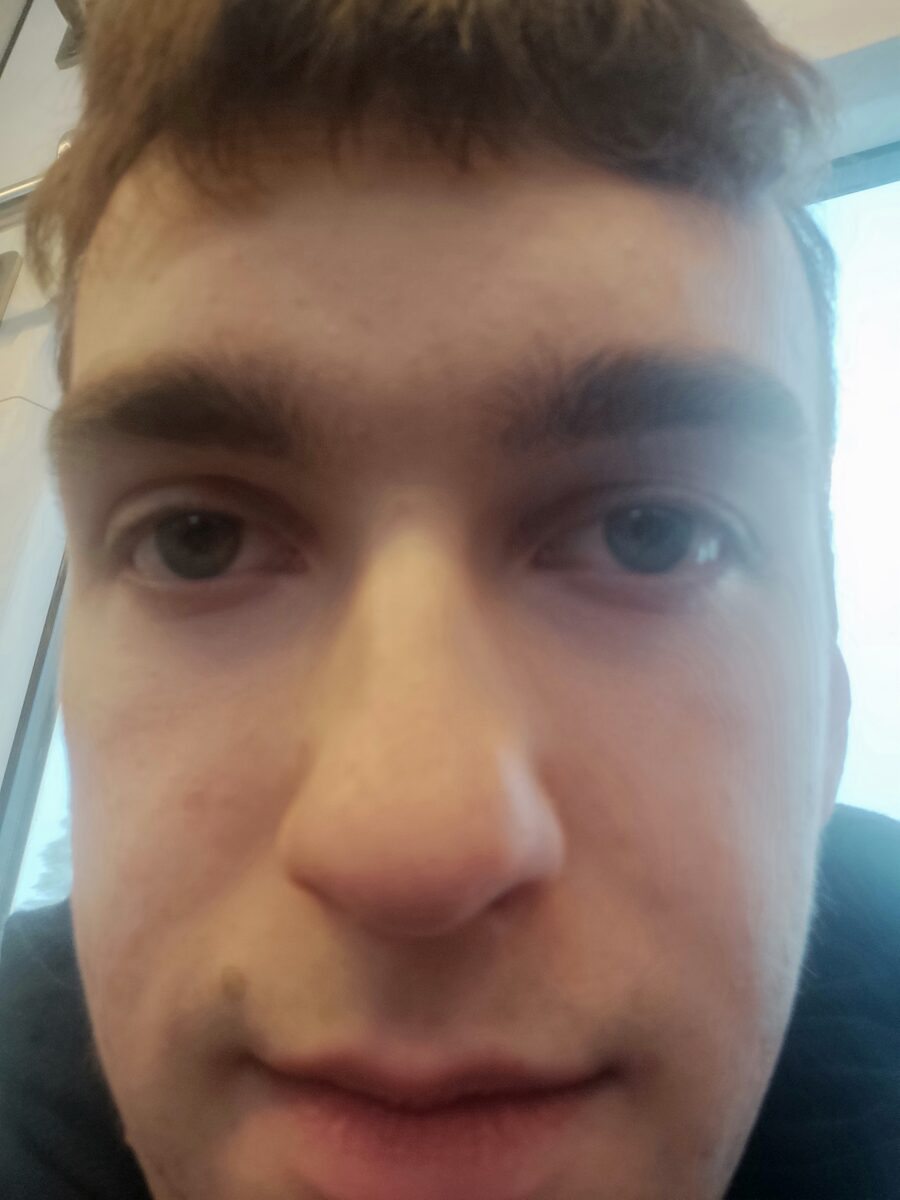 “Puhas esteetika” jt luuletusi