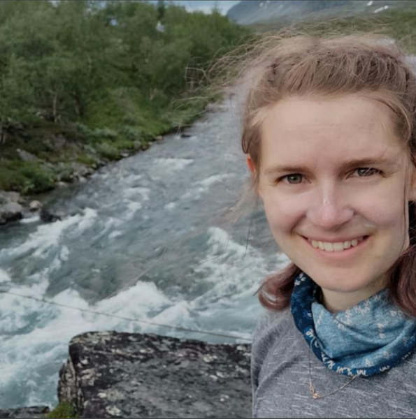 “Võõrad mured” jt luuletusi