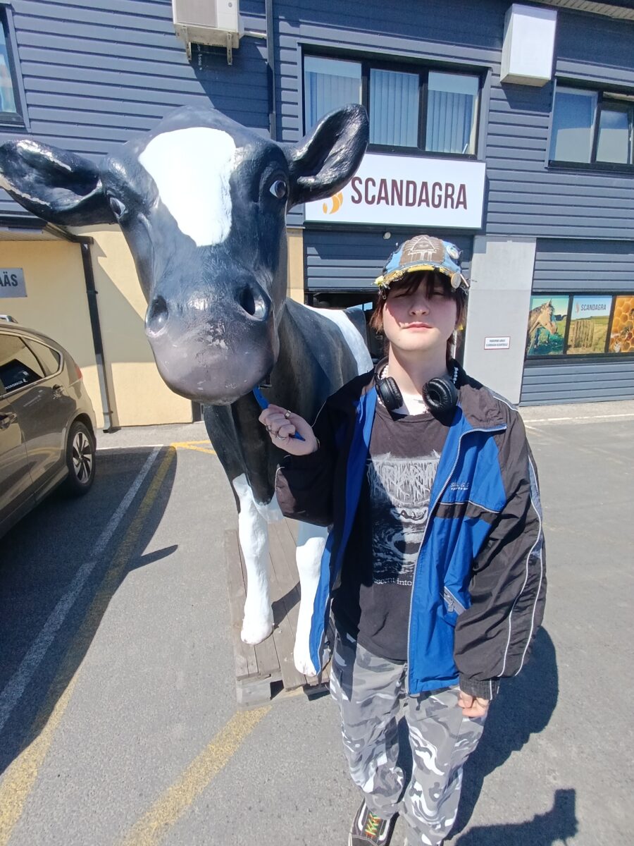 “VIIMISTLETUD TEKST” jt luuletusi