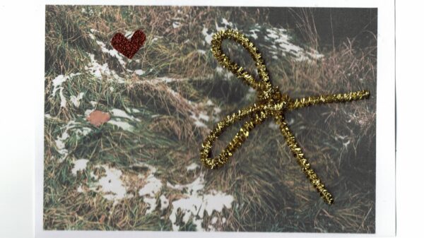 VÄRSKE RÕHU JÕULUSALMID