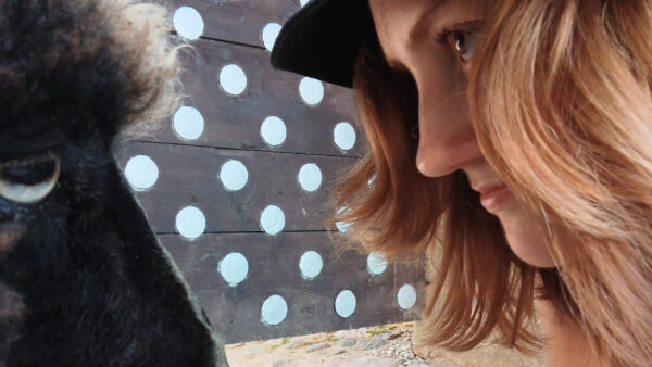 &ldquo;armas s&otilde;ber!&rdquo; jt luuletusi