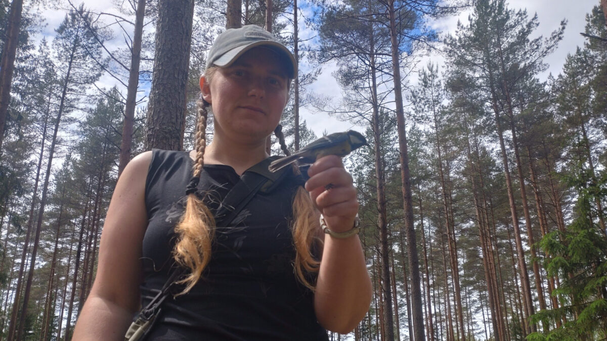 “olen alk kaljuserval” jt luuletusi